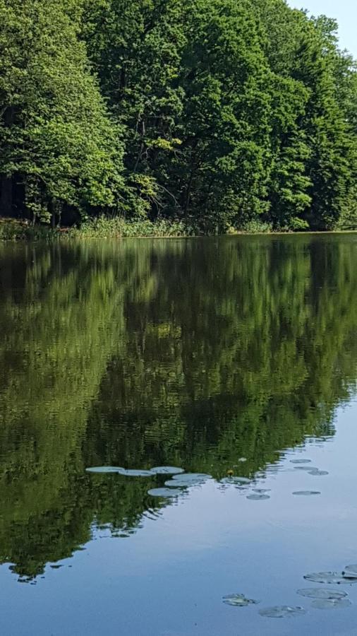 Niebieski Zakatek Wisełka Exterior foto